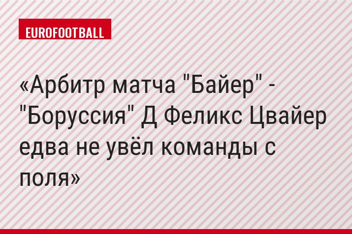Арбитр матча "Байер" - "Боруссия" Д Феликс Цвайер едва не увёл команды с поля